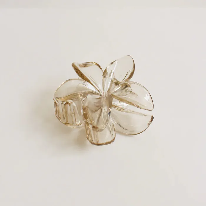 Candlewick Gift Shop Rings Floral Hair Clip Clear Taupe