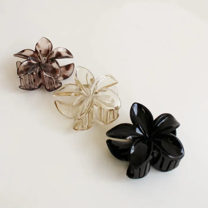 Candlewick Gift Shop Rings Floral Hair Clip Clear Taupe