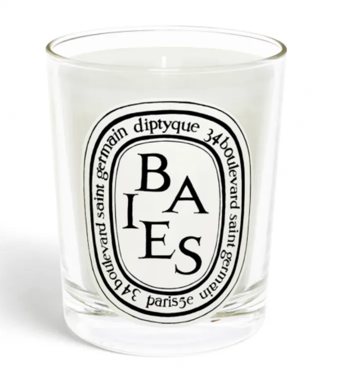 Diptyque Earrings Standard Size Candle
