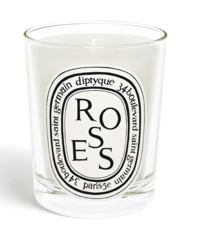 Diptyque Earrings Standard Size Candle