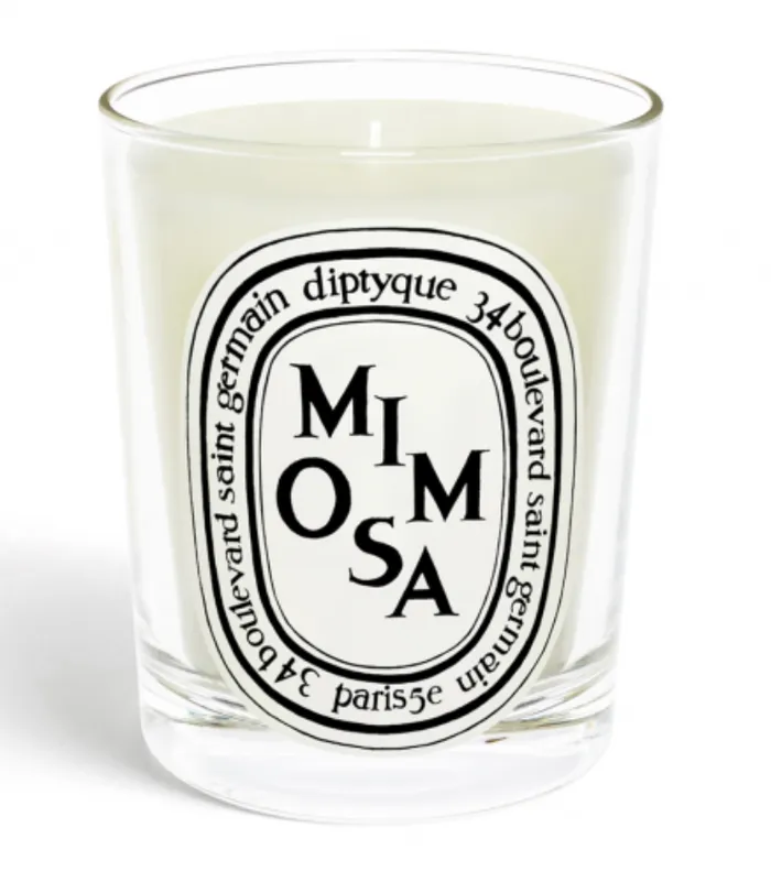 Diptyque Earrings Standard Size Candle