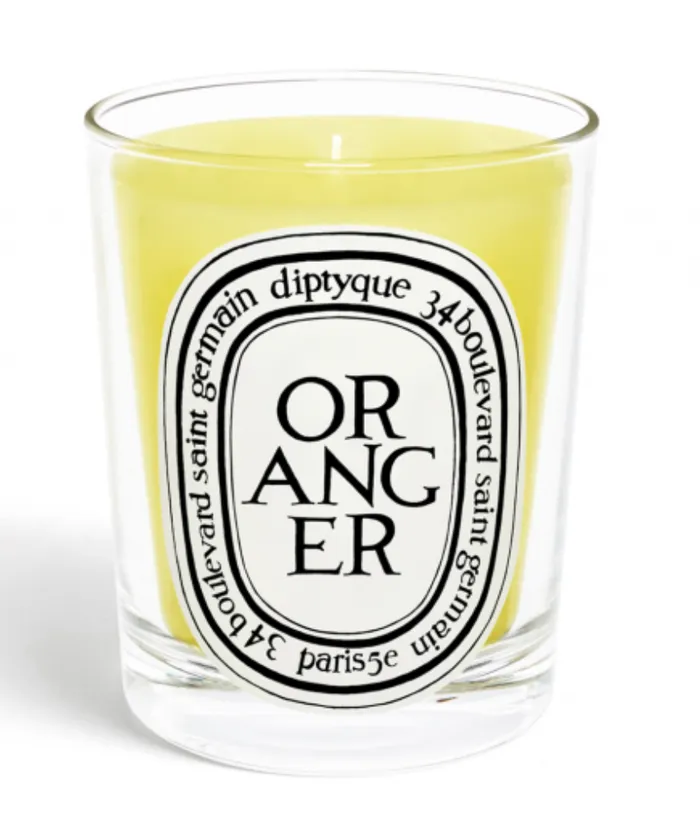Diptyque Earrings Standard Size Candle