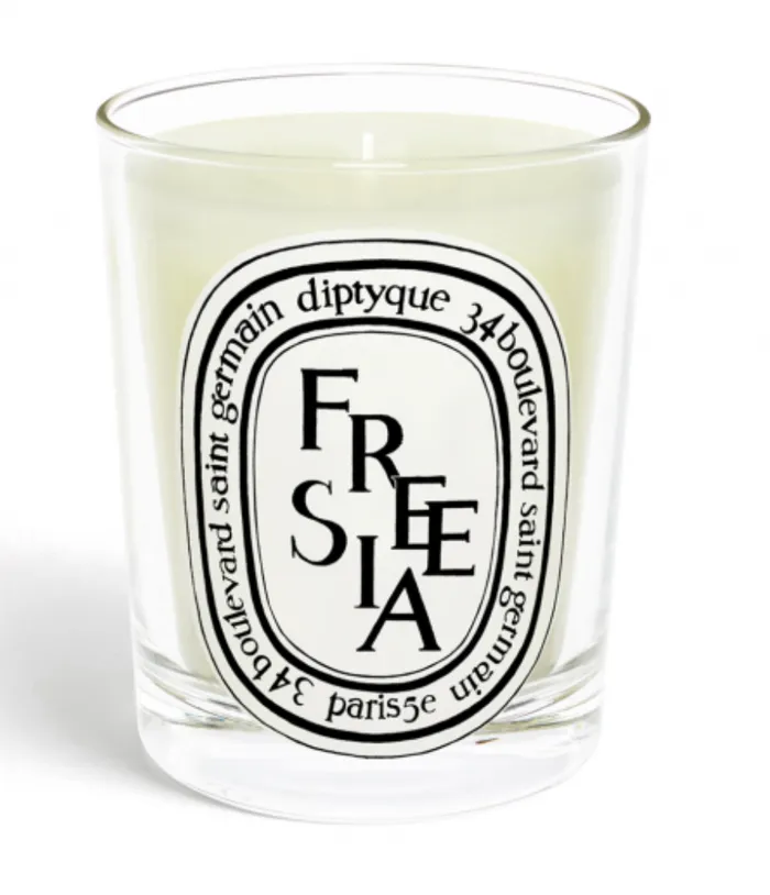 Diptyque Earrings Standard Size Candle