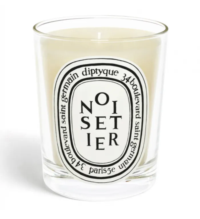 Diptyque Earrings Standard Size Candle