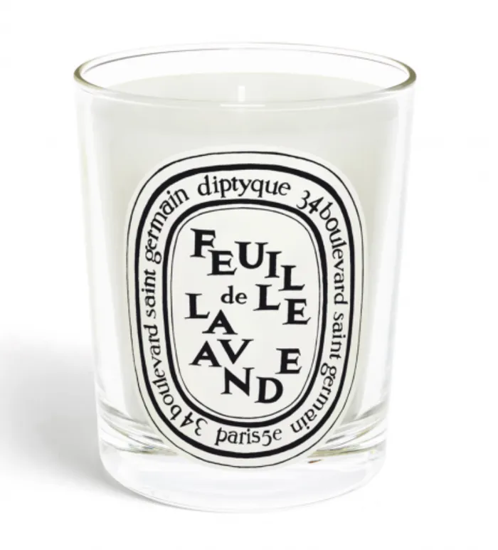 Diptyque Earrings Standard Size Candle