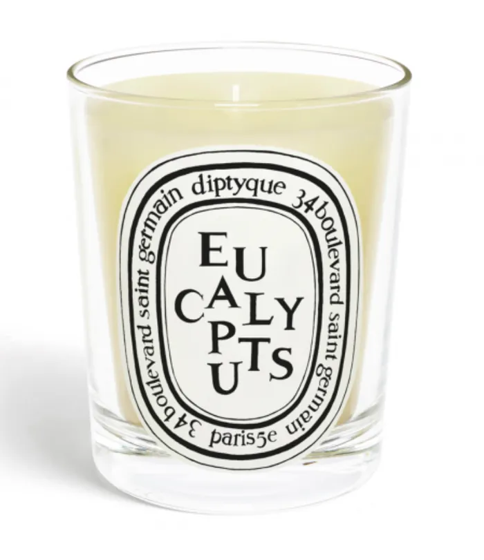 Diptyque Earrings Standard Size Candle