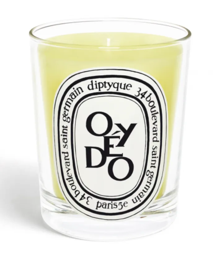 Diptyque Earrings Standard Size Candle