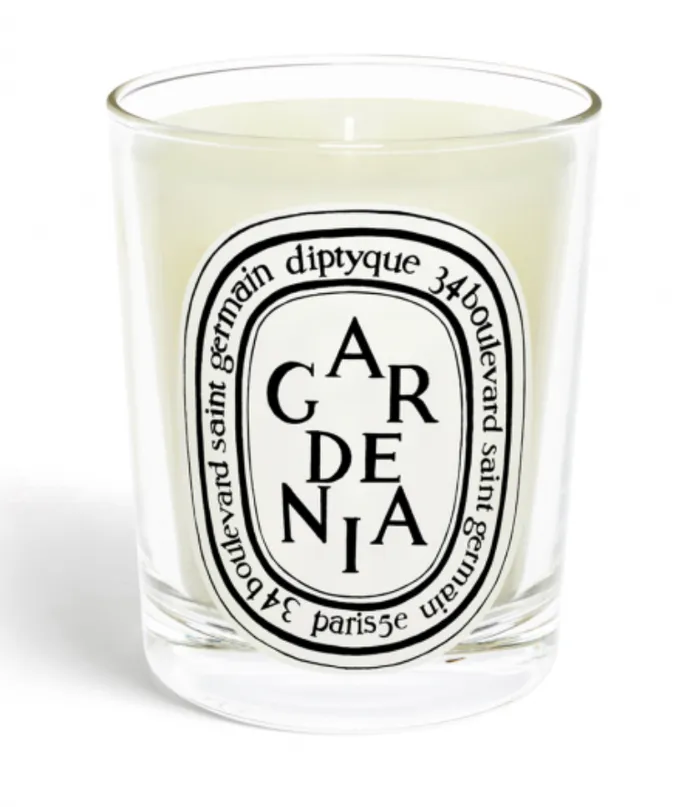 Diptyque Earrings Standard Size Candle