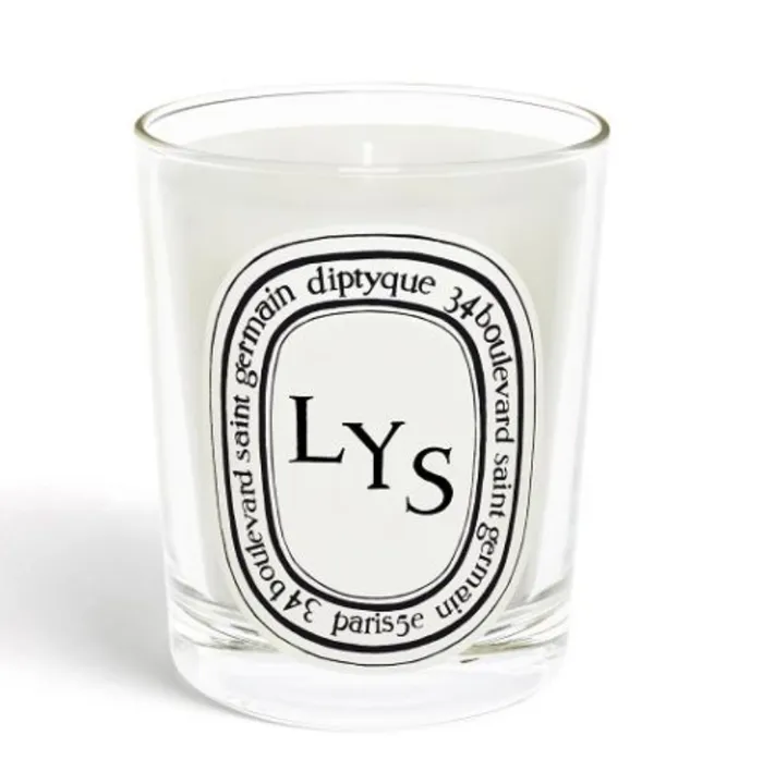 Diptyque Earrings Standard Size Candle