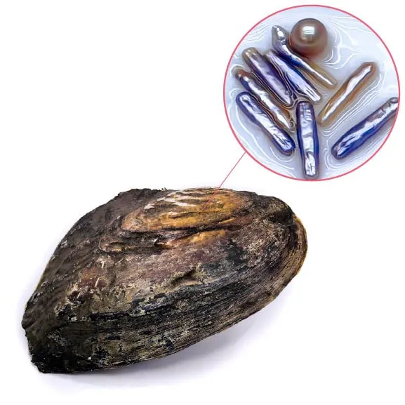 Monster Oyster Stick Shaped Pearls YFNMONSTERSTICKS Necklaces