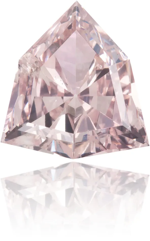 Natural Pink Diamond Shield 122 ct Polished Langerman Diamonds Earrings