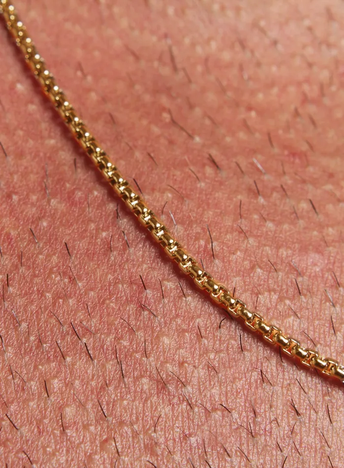 Necklaces We Are All Smith Stainless Steel Gold Plated Chain Necklace for Men