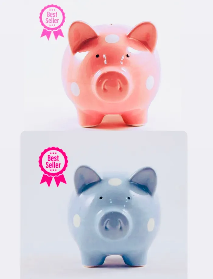 PIG Piggy Bank Splash Earrings