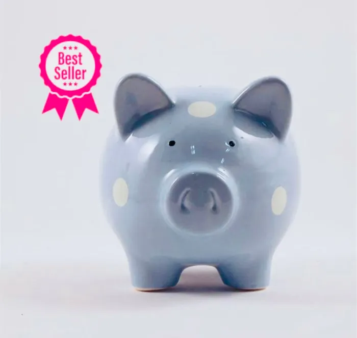 PIG Piggy Bank Splash Earrings