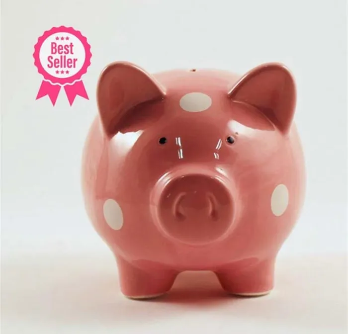 PIG Piggy Bank Splash Earrings