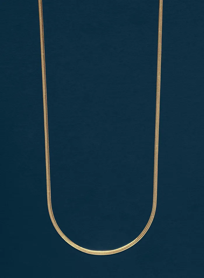 WE ARE ALL SMITH Necklaces Mens 2mm 14k Gold Plated Herringbone Chain Necklace