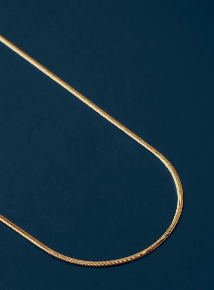 WE ARE ALL SMITH Necklaces Mens 2mm 14k Gold Plated Herringbone Chain Necklace