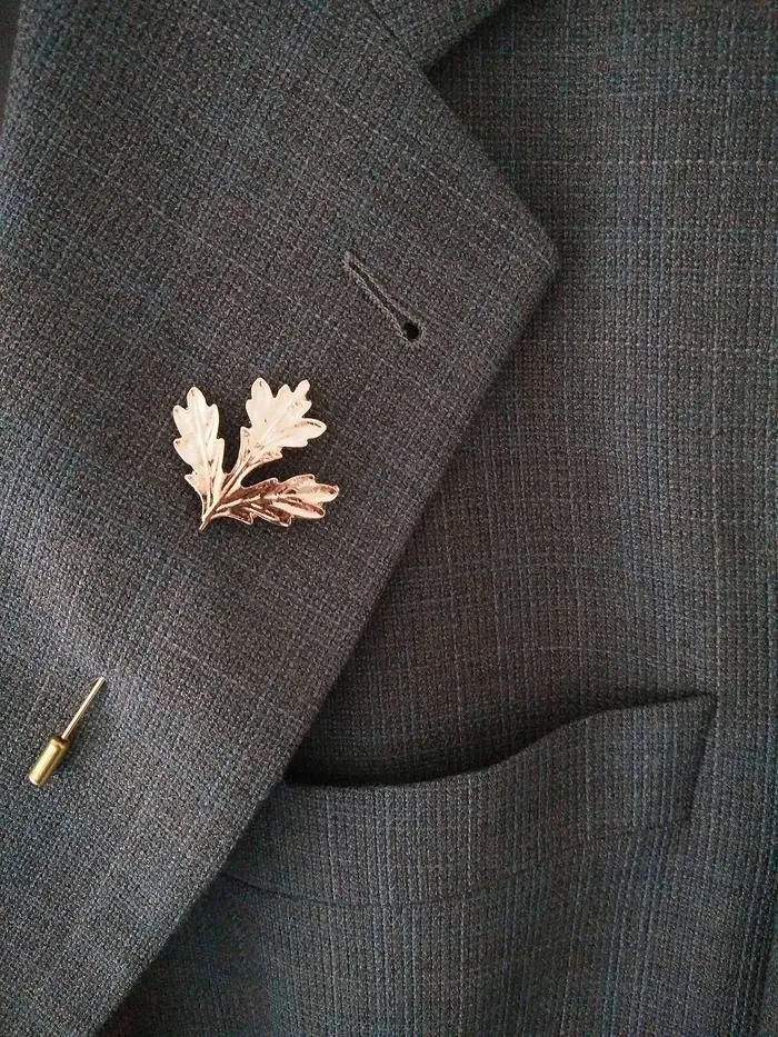 Yellow Chimes Lapel Pin for Men and Boys Leaf Lapel Pin for Men Suit Gold Plated Formal Stainless Steel Golden Lapel Pins Birthday Gift for Men and Boys Anniversary Gift for Husband Yellow Chimes Earrings